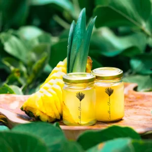 Macerat Ananas Fruitée Caribbean Elixir